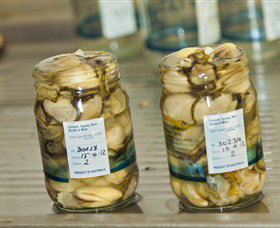 Broadwater Oysters - Maitland Accommodation 0