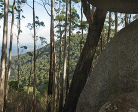 Gulaga National Park - Maitland Accommodation 0