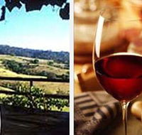 Jasper Valley Wines and Vines Cafe - Maitland Accommodation