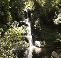 Macquarie Pass National Park - Maitland Accommodation