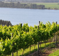 Two Figs Winery - Maitland Accommodation