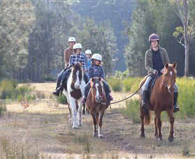 Horse Riding At Oaks Ranch And Country Club - Maitland Accommodation 0