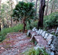 Wodi Wodi Walking Track - Maitland Accommodation