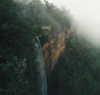 Bendeela Camping and Picnic Area - Maitland Accommodation