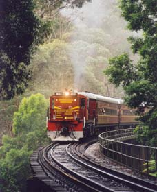 Cockatoo Run - Scenic Tour Train Operated By 3801 Limited - Maitland Accommodation 0