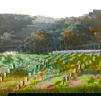 Tilba Valley Wines - Maitland Accommodation
