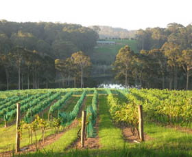 Tilba Valley Wines - Maitland Accommodation 0