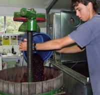 Fern Gully Winery - Maitland Accommodation