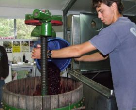 Fern Gully Winery - Maitland Accommodation 0