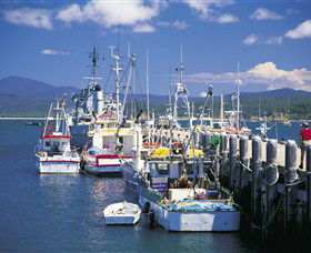 Snug Cove - Maitland Accommodation 0