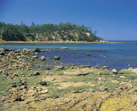 Aslings Beach - Maitland Accommodation 0
