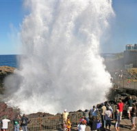 Kiama Blowhole - Maitland Accommodation