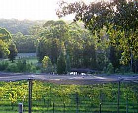 Lyrebird Ridge Organic Winery - Maitland Accommodation 0