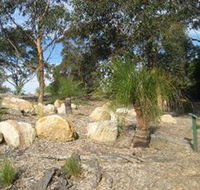 Curtis Park Arboretum - Maitland Accommodation