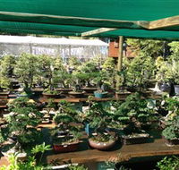 Bonsai at the Bay - Maitland Accommodation