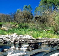 Abrahams Bosom Reserve - Maitland Accommodation