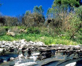 Abrahams Bosom Reserve - Maitland Accommodation 0