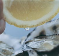 Pearly Oyster Bar and Farm - Maitland Accommodation