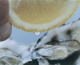 Pearly Oyster Bar And Farm - Maitland Accommodation 0