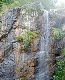 Wedding Bells Forest Drive - Maitland Accommodation 0