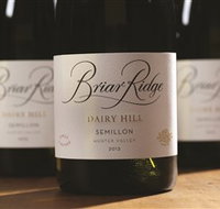 Briar Ridge Vineyard - Maitland Accommodation