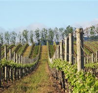 Philip Shaw Wines - Maitland Accommodation