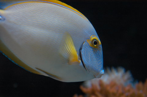 Solitary Islands Aquarium - Maitland Accommodation 3