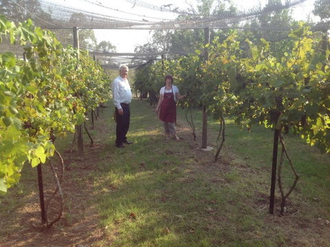 Holland Wines - Maitland Accommodation 8