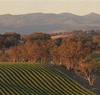 Angullong Wines - Maitland Accommodation