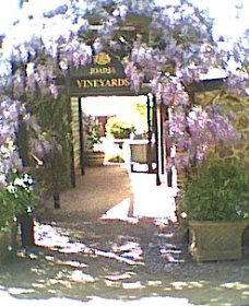 Joadja Winery - Maitland Accommodation 2