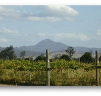 Ironbark Ridge Vineyard - Maitland Accommodation
