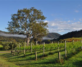 Sarabah Estate Vineyard - Maitland Accommodation 1