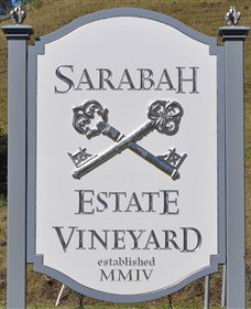 Sarabah Estate Vineyard - Maitland Accommodation 3