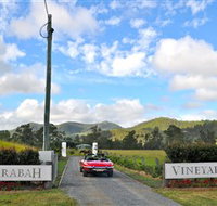 Sarabah Estate Vineyard - Maitland Accommodation