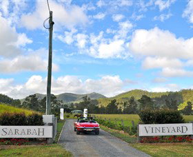 Sarabah Estate Vineyard - Maitland Accommodation 0