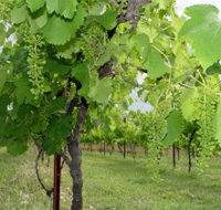 Holland Wines - Maitland Accommodation