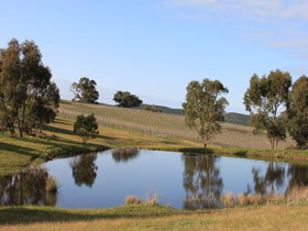 Kersbrook Hill Wines - Maitland Accommodation 2