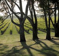 Henry's Drive Vignerons - Maitland Accommodation