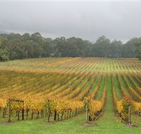 Boat O'Craigo Wines - Maitland Accommodation