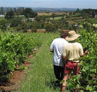 Sir Paz Estate - Maitland Accommodation