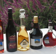 Hartzview Vineyard Heritage Pickers Hut Village - Maitland Accommodation