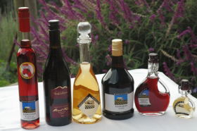 Hartzview Vineyard Heritage Pickers Hut Village - Maitland Accommodation 0