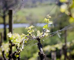 Avonmore ACT Maitland Accommodation