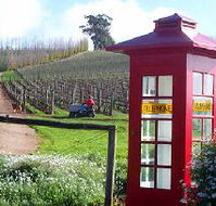 Dalrymple Vineyards - Maitland Accommodation
