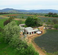 Schmidts Strawberry Winery - Maitland Accommodation
