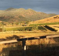 Optimiste Wines - Maitland Accommodation