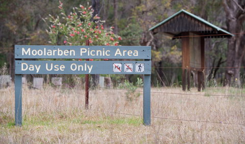 Moolarben Picnic Area - Maitland Accommodation 1