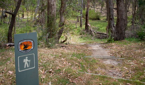 Moolarben Picnic Area - Maitland Accommodation 0