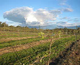 Flyfaire Wines - Maitland Accommodation 7