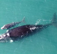 Fazshot Photography - Maitland Accommodation